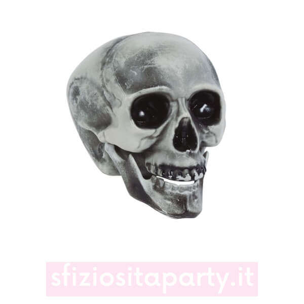 Teschio Halloween 20cm Sfiziosità Party Crispiano vendita teschio halloween sfiziositaparty.it